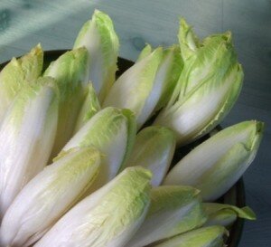 foglie di invidia belga