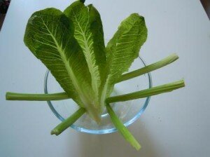  centrotavola natalizio con le verdure 