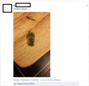 topo morto nel piatto 