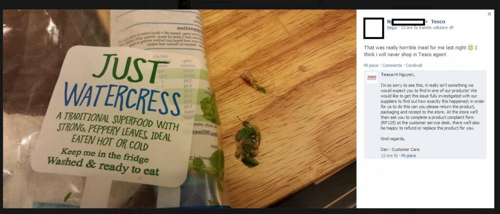 topo morto nel piatto 