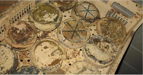 Nuovo Scandalo Alimentare, Dopo la Carne il Pesce