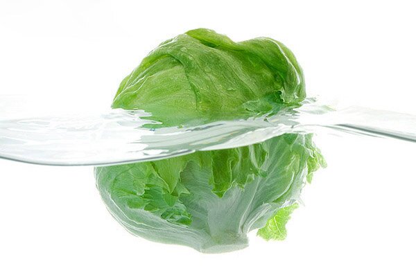 vegetable-material-in-water